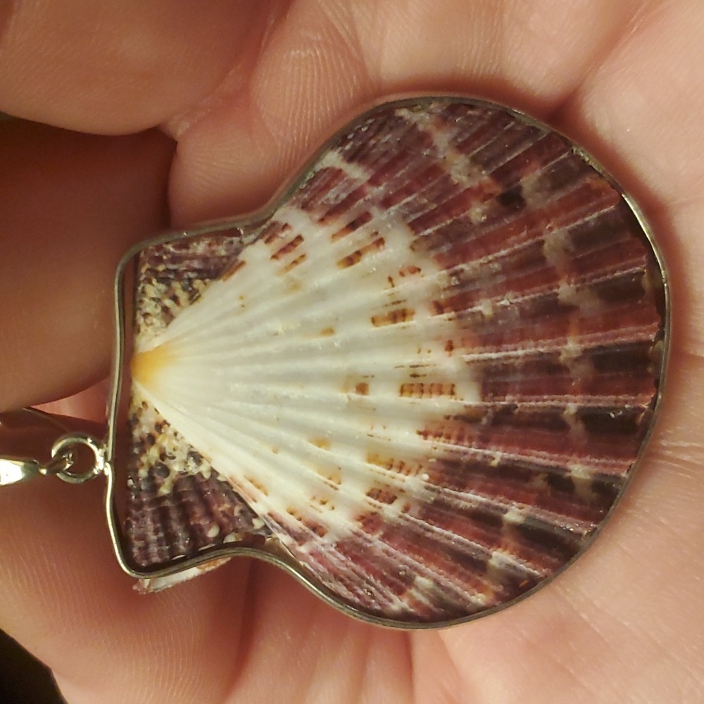 New Silver Wrapped Natural Seashell Scallop Shell Pendant.